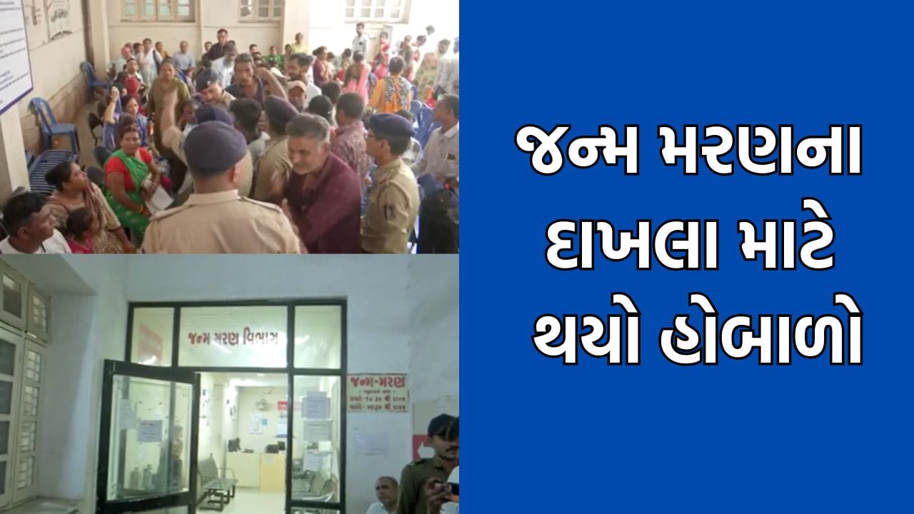 રાજકોટ સિવિક સેન્ટરમાં જન્મ મરણના દાખલા માટે થયો હોબાળો, સિસ્ટમ ઠપ્પ થતા અરજદારો રોષે ભરાયા- Video રાજકોટ સિવિક સેન્ટરમાં જન્મ મરણના દાખલા માટે થયો હોબાળો, સિસ્ટમ ઠપ્પ થતા અરજદારો રોષે ભરાયા- Video