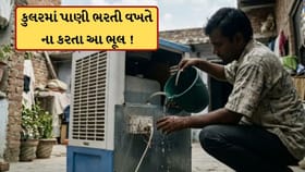 કુલરમાં પાણી ભરતી વખતે ના કરતા આ 5 ભૂલો, નહીં તો પડી શકે છે ભારે