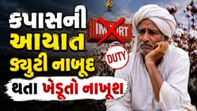 સુરતઃ રૂની આયાત ડયૂટી 5 મહિના માટે નાબુદ કરતા ખેડૂતો નાખુશ