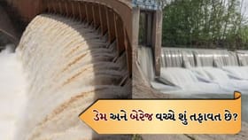 ડેમ કે બેરેજ? મોટાભાગના લોકો કરે છે ગેરસમજ