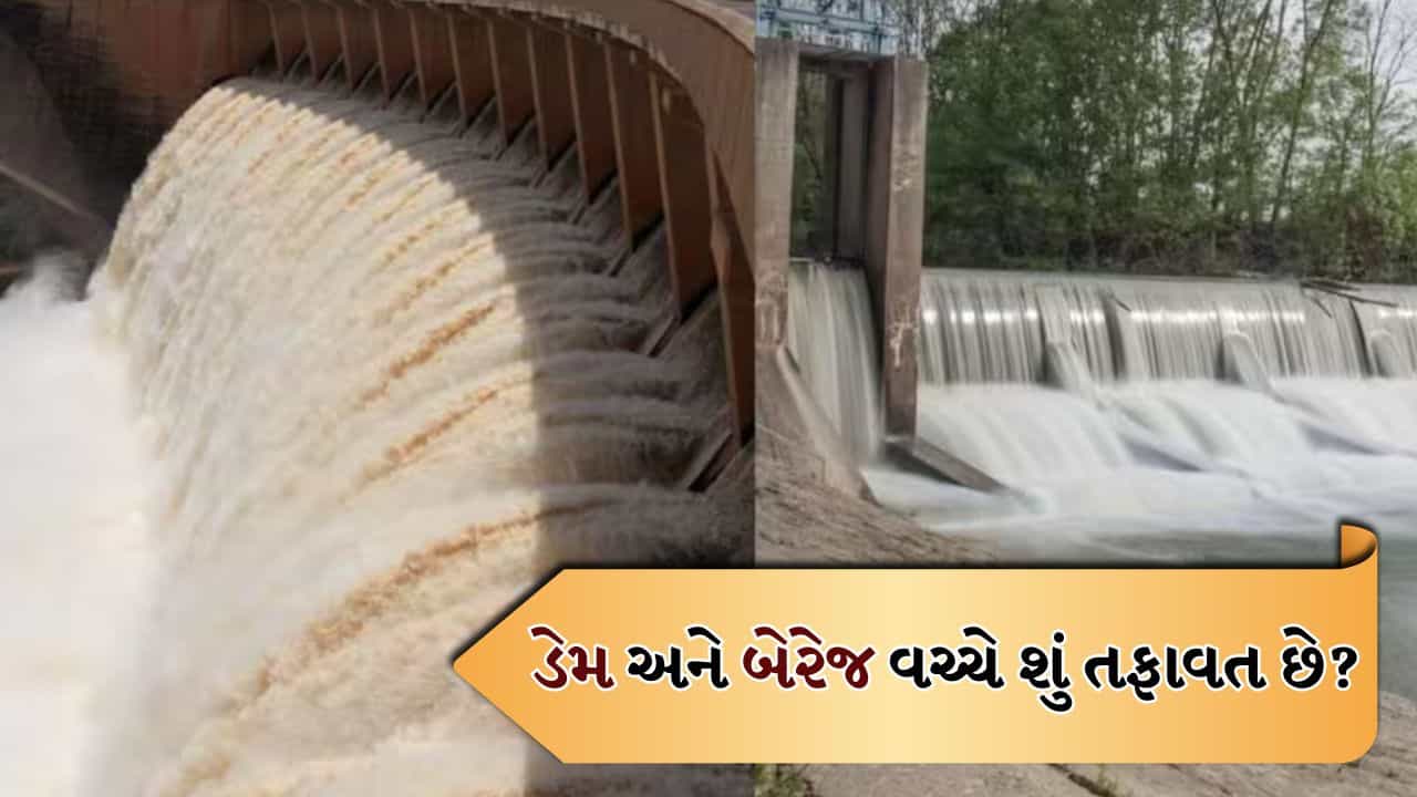 Dam and Barrage: ડેમ અને બેરેજ વચ્ચે શું તફાવત છે? તેમના નામ પાછળનું કારણ ખૂબ રસપ્રદ છે