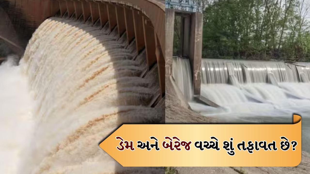 Dam and Barrage: ડેમ અને બેરેજ વચ્ચે શું તફાવત છે? તેમના નામ પાછળનું કારણ ખૂબ રસપ્રદ છે