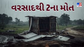 વાવ-થરાદ જિલ્લામાં ભારે પવન અને વરસાદે લીધો બે લોકોનો ભોગ