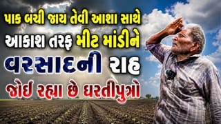 ધોરાજીના ખેડૂતોએ ધિરાણ લઈને પાકનું વાવેતર કર્યુ અને હવે વરસાદ ખેંચાતા પાક બળી જવાની સતાવી રહી છે ભીતિ- Video