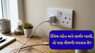 ચાર્જરમાં ફોન ન હોય તો પણ વીજળી વપરાય છે? ફોન કનેક્ટ ન હોવા છતાં કેવી રીતે ચોરી થઈ રહી છે વીજળી?