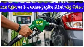 E20 પેટ્રોલ પર કેન્દ્ર સરકારનું સુપ્રીમ કોર્ટમાં 'મોટું નિવેદન'