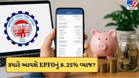 ખાતામાં ક્યારે આવશે EPFOનું 8.25% વ્યાજ ? આ રીતે ચેક કરો બેલેન્સ