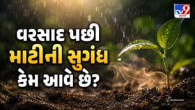 Petrichor નું વૈજ્ઞાનિક રહસ્ય: વરસાદ બાદ માટીની સુગંધ કેમ આવે છે?