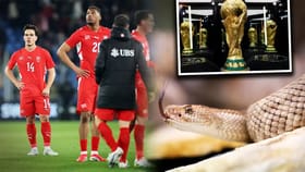 FIFA વર્લ્ડ કપમાં ઝેરી સાપથી ખતરો, આ ટીમને મળી ચેતવણી
