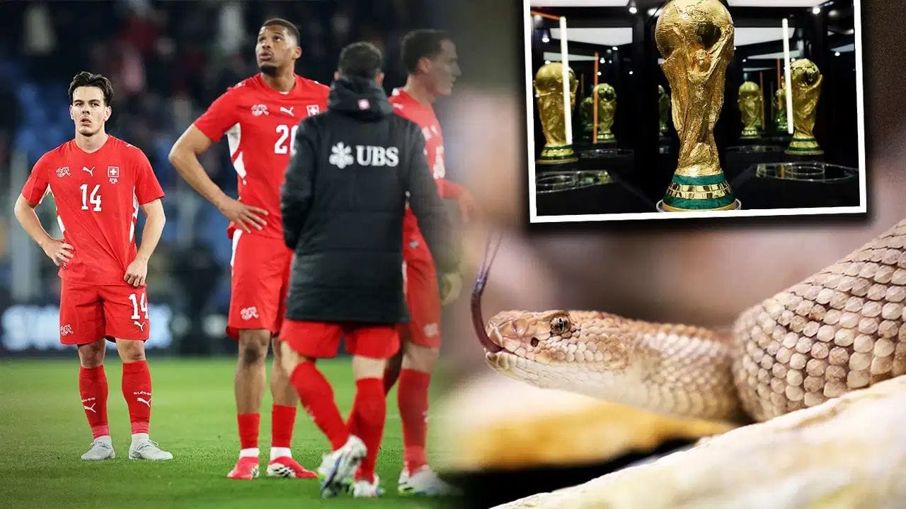 FIFA World Cup 2026: ફૂટબોલ વર્લ્ડ કપમાં ઝેરી સાપથી ખતરો, આ ટીમને મળી ખાસ ચેતવણી