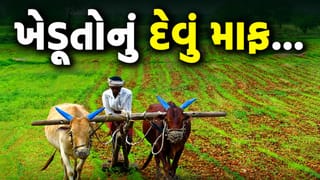 Breaking News : સરકારે ખેડૂતોના દેવા માફીનો નિર્ણય જાહેર કર્યો, જાણો વિગત