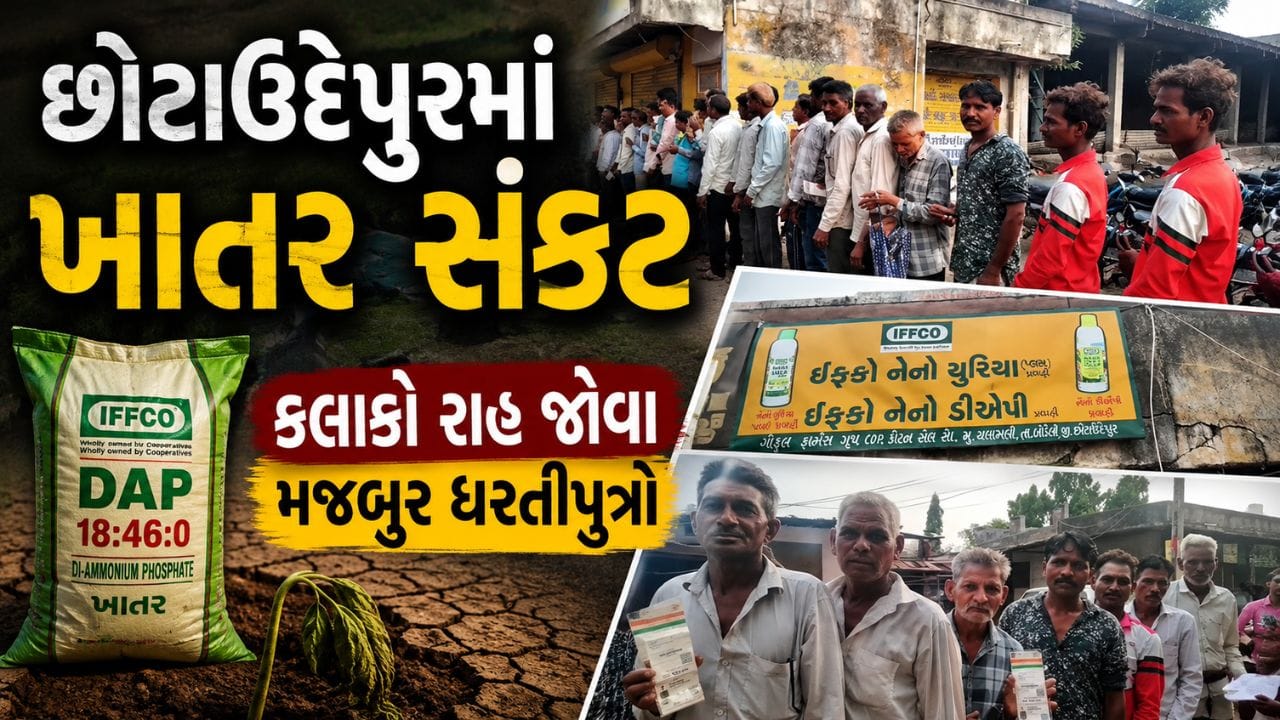 છોટા ઉદેપુરના ખેડૂતોની કફોડી સ્થિતિ, કલાકો લાઈનમાં ઊભા રહેવા છતા નથી મળતુ ખાતર- Video છોટા ઉદેપુરના ખેડૂતોની કફોડી સ્થિતિ, કલાકો લાઈનમાં ઊભા રહેવા છતા નથી મળતુ ખાતર- Video