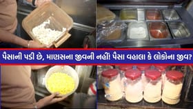 રાજકોટમાં ભેળસેળ સામે મેગા ડ્રાઇવ, જાણીતી ફૂડ બ્રાન્ડ્સ પર દરોડા