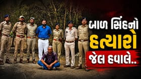 સિંહ બાળ હત્યા કેસમાં આરોપીની ધરપકડ, જુઓ Video