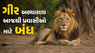 Gir Breaking News : સિંહોનું વેકેશન આજથી શરુ! ગીર અભ્યારણ્ય પ્રવાસીઓ માટે બંધ ! જુઓ Video