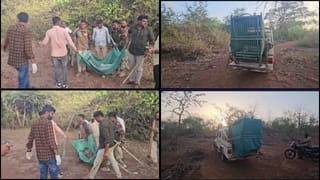 ગીર સોમનાથ : 30 કલાકની જહેમત બાદ પાંજરે પુરાયો હુમલાખોર દીપડો, થોરડી ગામે રાહત