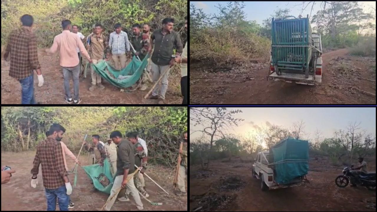 ગીર સોમનાથ : 30 કલાકની જહેમત બાદ પાંજરે પુરાયો હુમલાખોર દીપડો, થોરડી ગામે રાહત ગીર સોમનાથ : 30 કલાકની જહેમત બાદ પાંજરે પુરાયો હુમલાખોર દીપડો, થોરડી ગામે રાહત