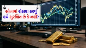 દેશના 2 મોટા ફંડ હાઉસે ગોલ્ડ સ્કીમ્સમાં કેમ અટકાવ્યું નવું રોકાણ?
