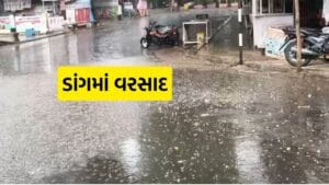 Dang Rain : ડાંગમાં મેઘરાજાનું રૌદ્ર સ્વરૂપ: ભારે વરસાદથી જનજીવન પ્રભાવિત, નદીઓ બે કાંઠે