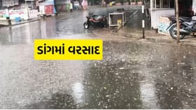 ડાંગમાં મેઘરાજાનું રૌદ્ર સ્વરૂપ: ભારે વરસાદથી જનજીવન પ્રભાવિત