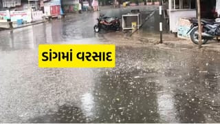 Dang Rain : ડાંગમાં મેઘરાજાનું રૌદ્ર સ્વરૂપ: ભારે વરસાદથી જનજીવન પ્રભાવિત, નદીઓ બે કાંઠે