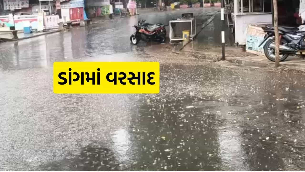 Dang Rain : ડાંગમાં મેઘરાજાનું રૌદ્ર સ્વરૂપ: ભારે વરસાદથી જનજીવન પ્રભાવિત, નદીઓ બે કાંઠે