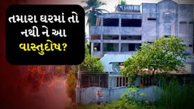 મુખ્ય દરવાજાથી બેડરૂમ સુધી, ઘરની આ ભૂલો બની શકે છે નિષ્ફળતાનું કારણ
