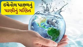 1 લિટર ઇથેનોલ બનાવવા કેટલું પાણી લાગે છે? આંકડા જાણીને ચોંકી જશો