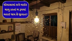 ચોમાસામાં જીવજંતુઓનો ત્રાસ? આ ગજબની ટ્રિકથી રૂમ રહેશે ક્લીન!