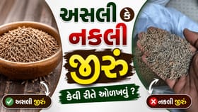 જીરું અસલી છે કે નકલી? ઘરે બેઠા આ સરળ રીતથી ચકાસો