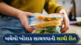 રેફ્રિજરેટરમાં બચેલો ખોરાક રાખતા પહેલા જાણો આ મહત્વની ટિપ્સ