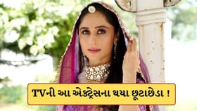 TVની આ ફેમસ એક્ટ્રેસનું 9 વર્ષનું લગ્નજીવન તૂટ્યું !ચાહકોને લાગ્યો ઝટક