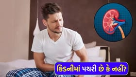 કિડનીમાં પથરી છે કે નહીં? આ લક્ષણોને ભૂલથી પણ નજરઅંદાજ ન કરો