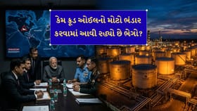 પેટ્રોલ સંકટ? મોંઘવારીના ગ્લોબલ ઝટકાથી બચવા પીએમ મોદીનો નવો પ્લાન