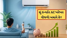 શું ઇન્વર્ટર AC ખરેખર વીજળી બચાવે છે? 99% લોકો નથી જાણતા સત્ય