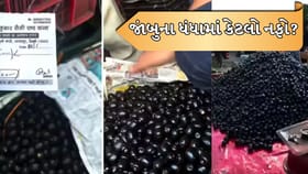 OMG! જાંબુ વેચીને એક જ દિવસમાં કેટલી કમાણી?