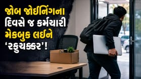 કંપની તરફથી ઓફર લેટર લીધો, MacBook લીધું અને પછી ગાયબ...