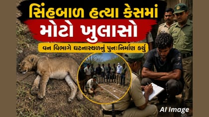 Breaking news: જૂનાગઢ સિંહબાળ હત્યા કેસમાં મોટો ખુલાસો