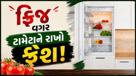 ફ્રિજમાં નહીં, આ રીતે રાખશો તો ટામેટાંનો સ્વાદ અને તાજગી જળવાઈ રહેશે