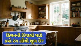 વાસ્તુ અનુસાર રસોડાની દિવાલો માટે કયો રંગ સૌથી શુભ છે ?