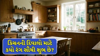 Vastu Tips : વાસ્તુ અનુસાર રસોડાની દિવાલો માટે કયો રંગ સૌથી શુભ છે ?