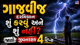 Lightning Safety Tips: ગાજવીજ વખતે ખેતર કે ખુલ્લા મેદાનમાં ઊભા છો ? જાણો કઈ 5 બાબતોનું ધ્યાન રાખવું જરૂરી છે