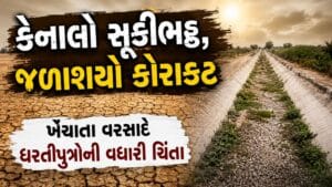 મહેસાણા પંથકમાં વરસાદ ખેંચાતા ખેડૂતોની ચિંતા વધી, ચોમાસું મોડું થતાં વાવણીના આયોજન ખોરવાયા- Video
