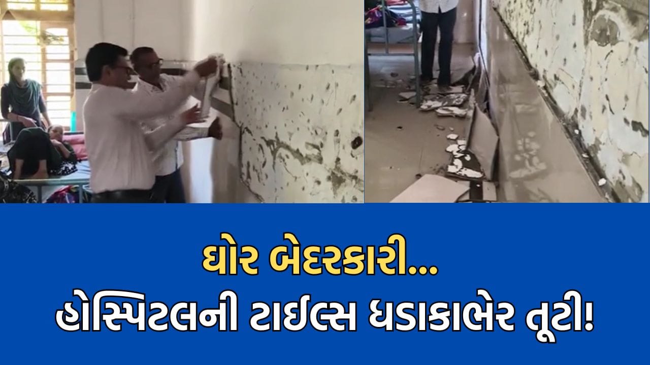 Bhavnagar: મહુવાની જનરલ હોસ્પિટલમાં ગંભીર બેદરકારી, બાળકોના વોર્ડમાં દિવાલની ટાઈલ્સ તૂટી બેડ પર પડી- Video Bhavnagar: મહુવાની જનરલ હોસ્પિટલમાં ગંભીર બેદરકારી, બાળકોના વોર્ડમાં દિવાલની ટાઈલ્સ તૂટી બેડ પર પડી- Video