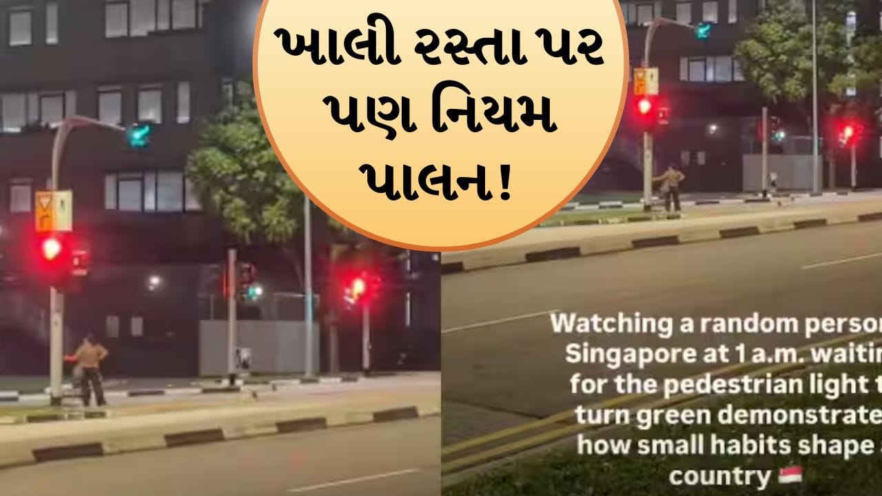 લોકો અડધી રાત્રે રસ્તા પર ટ્રાફિક નિયમોનું પાલન કરી રહ્યા છે! આ Videoથી યુઝર્સ થયા આશ્ચર્યચકિત