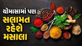 ભેજથી મસાલા થઈ જાય છે ખરાબ? જાણો સ્ટોરેજની સરળ અને અસરકારક ટિપ્સ