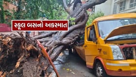 મુંબઈમાં અકસ્માત, સ્કૂલ બસ પર ઝાડ પડતાં 10 વર્ષના વિદ્યાર્થીનું મોત