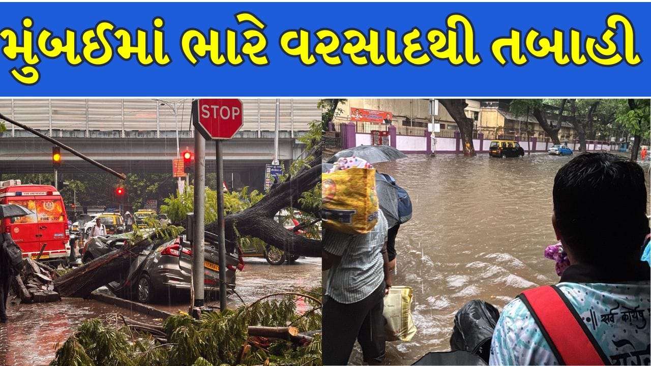Mumbai Breaking News : પહેલા જ વરસાદમાં ડુબી મુંબઈનગરી! લોકલ ટ્રેન, સબવે અને રસ્તાઓ પાણીમાં ગરકાવ, જુઓ Video