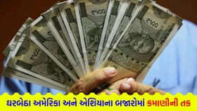 વિદેશી બજારોમાંથી કમાણી કરાવતા આ '4 ગ્લોબલ ફંડ'