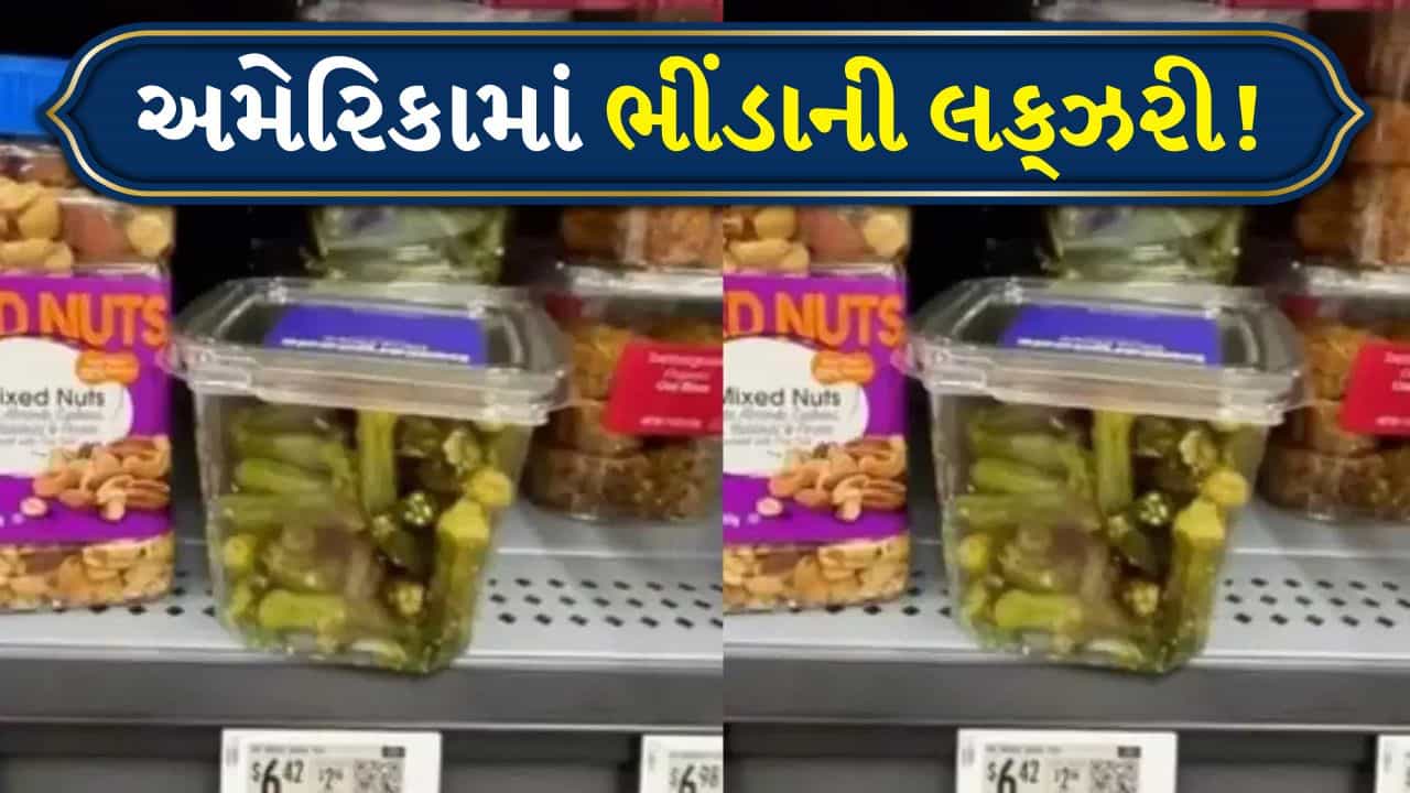 OMG! અમેરિકામાં ભીંડા બન્યા પ્રીમિયમ નાસ્તો, કિંમત જાણીને ચોંકી જશો